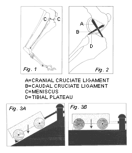 Tibial Plateau Leveling Osteotomy Figure 1, 2, 3a, 3b